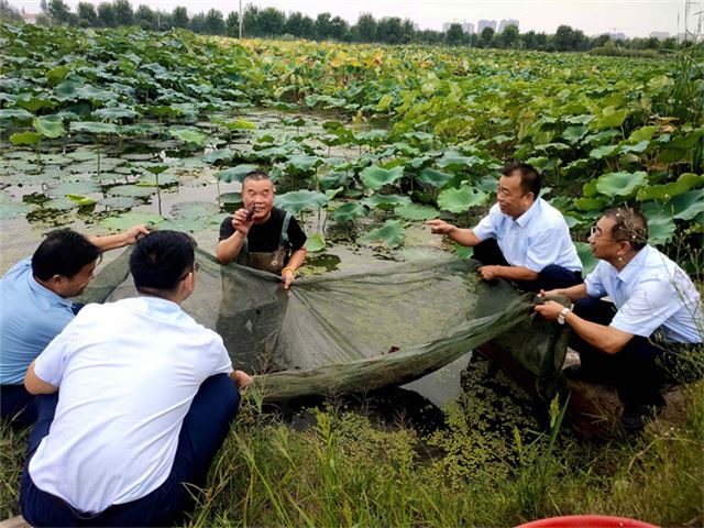 1.2龙虾种植户与建行工作人员分享收获喜悦_副本