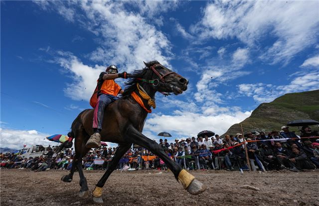 西藏：乡村赛马庆丰收